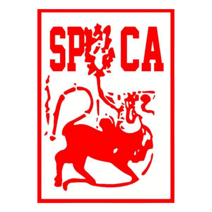 North Western Province Cricket Association