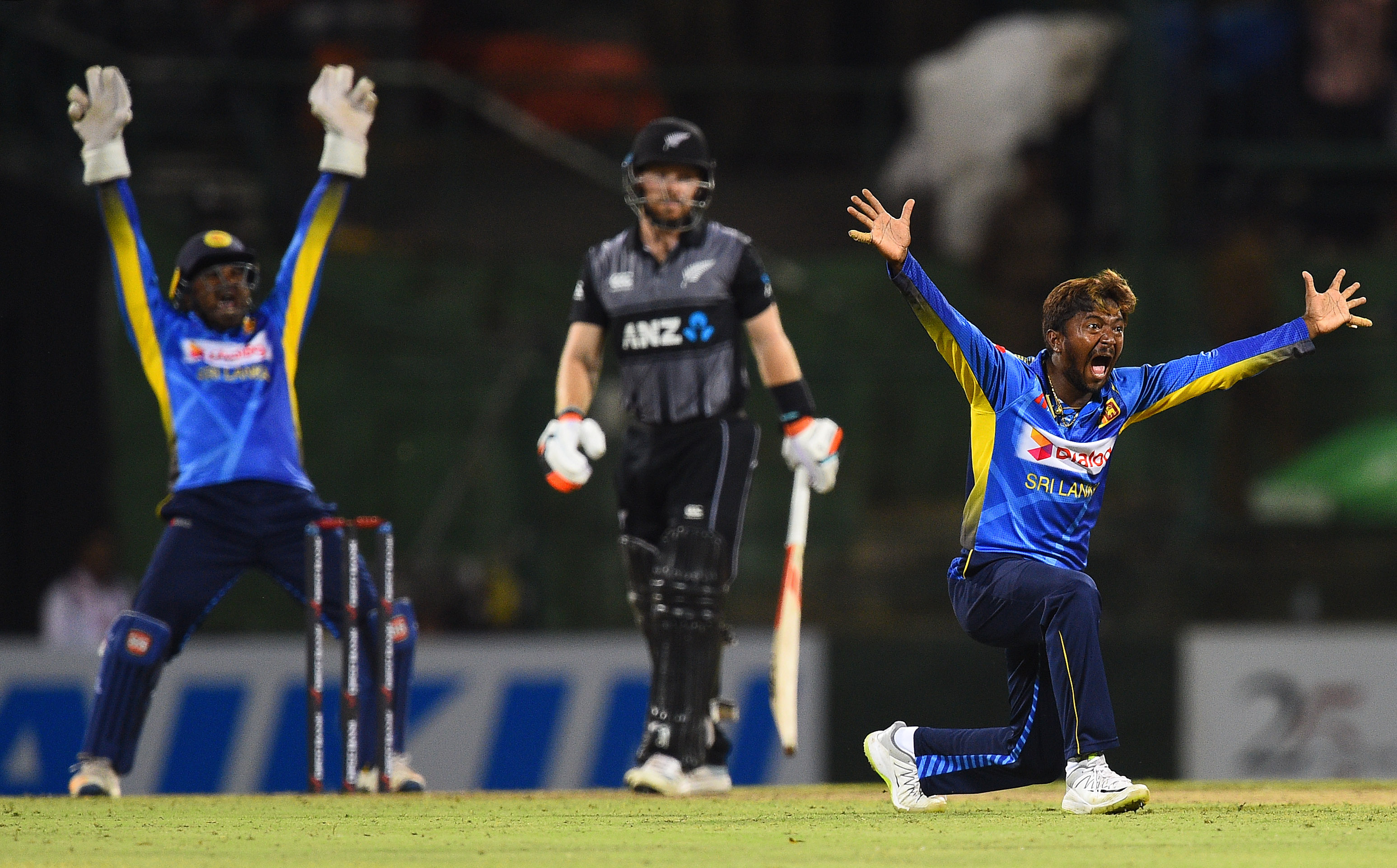 New Zealand wins by 4-wickets on clinical display to take 2-nil lead and series